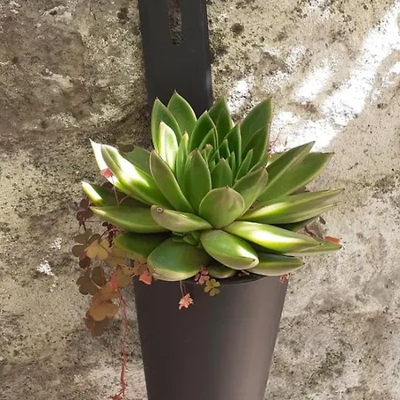 Sous Le Tilleul à Maison d'hôtes