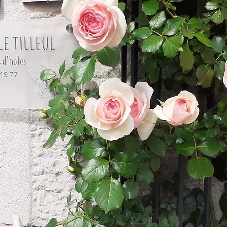 Maison d'hôtes Sous Le Tilleul à Ruoms