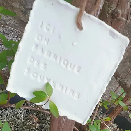 Sous Le Tilleul à